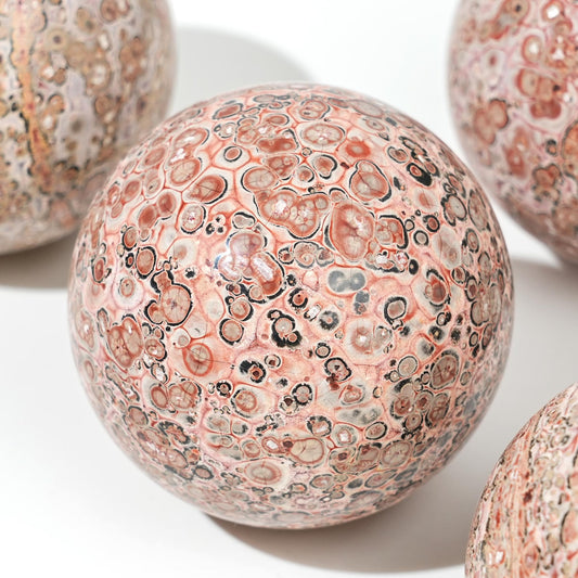 Leopard Skin Jasper Sphere quote-onlyquote-only - CrystalHola