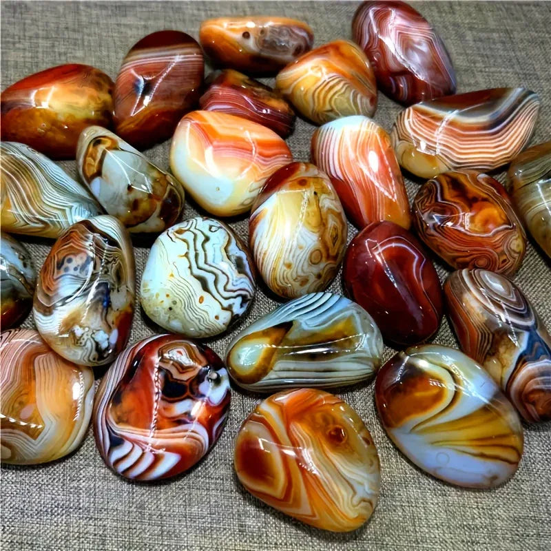 Palm&Heart Collection: Embrace Nature's Serenity and Style - CrystalHola