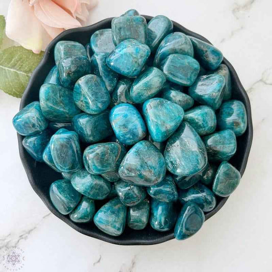 0.78-2.36in Blue Apatite Tumble Stone|CrystalHola Wholesale