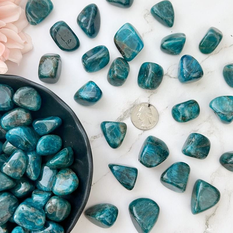 0.78-2.36in Pierre Roulée Apatite Bleue|CrystalHola Vente en Gros