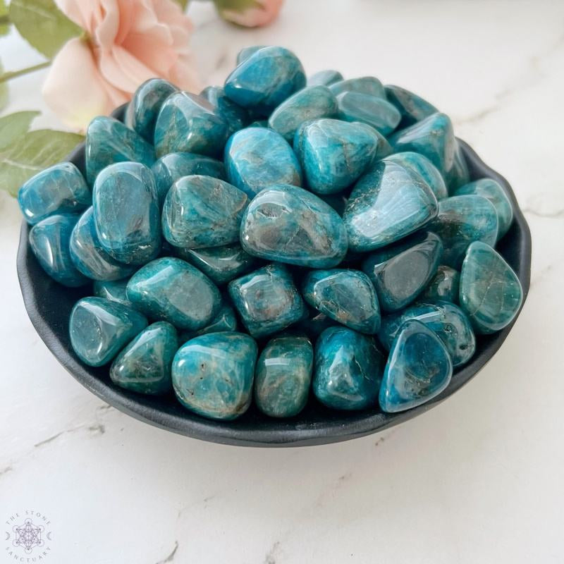0.78-2.36in Pierre Roulée Apatite Bleue|CrystalHola Vente en Gros