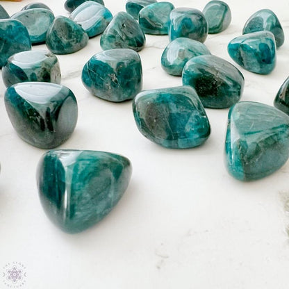 0.78-2.36in Pierre Roulée Apatite Bleue|CrystalHola Vente en Gros