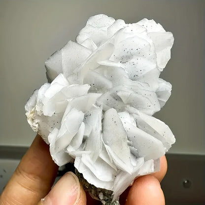 White Rose Calcite Specimen - CrystalHola