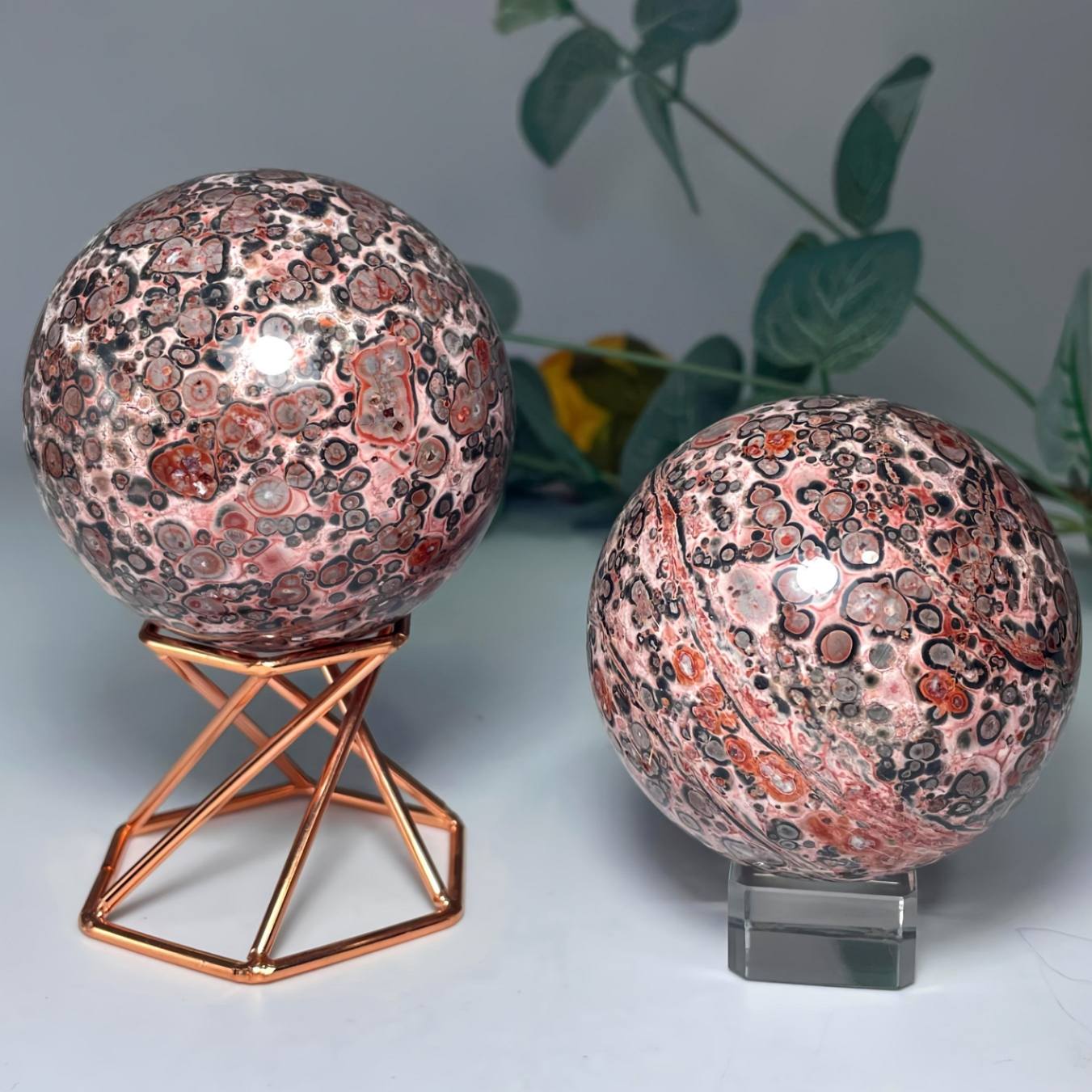 1.57-3.14in Leopard Sphere |CrystalHola