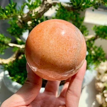 1.57-3.14in Striped Sunstone Sphere |CrystalHola