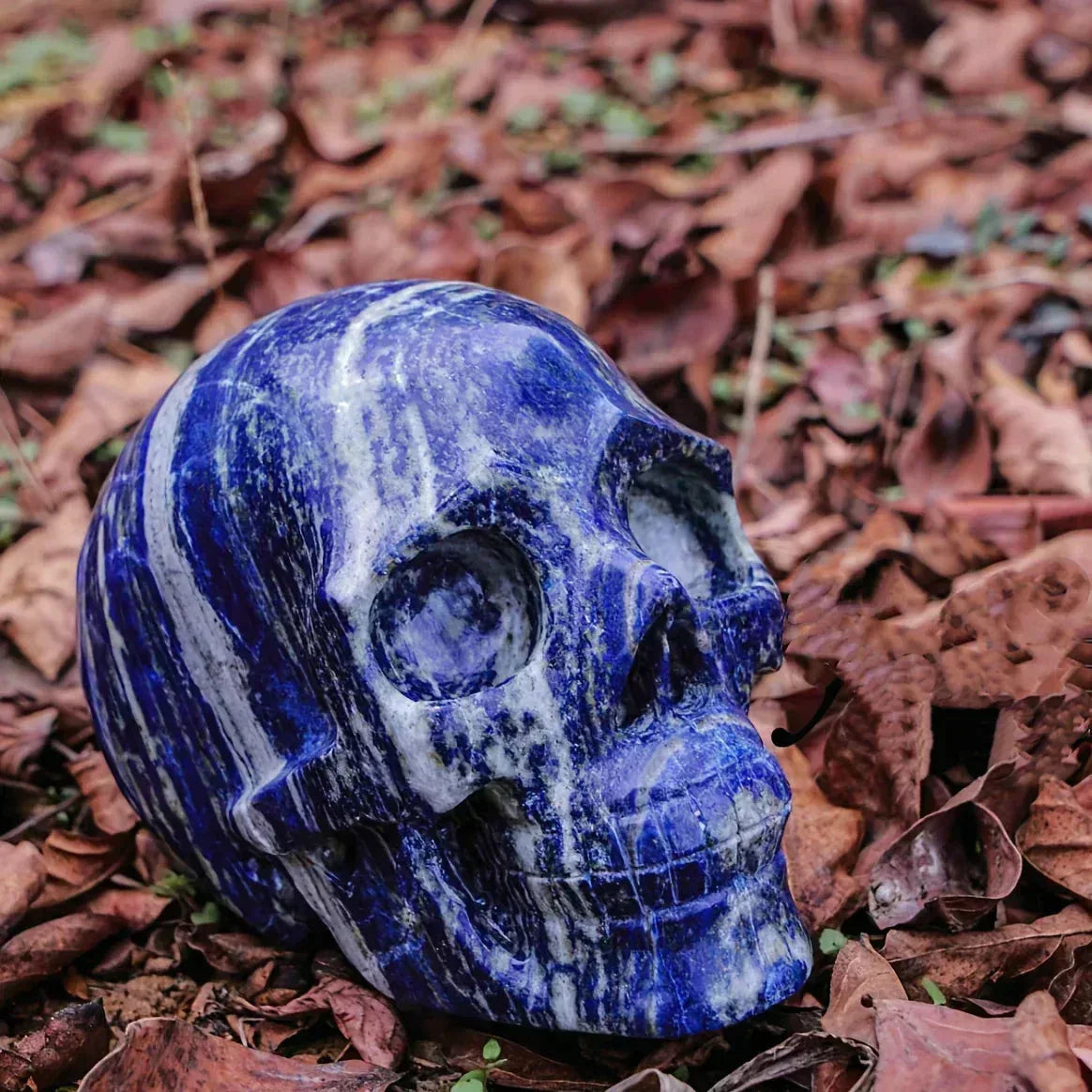 1.96in  Blue Sodalite Skull Carving |CrystalHola - CrystalHola