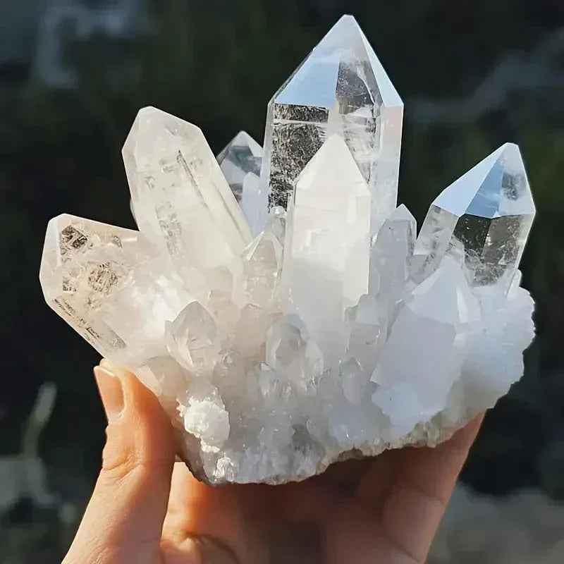 10-430g Clear Quartz  Cluster|CrystalHola