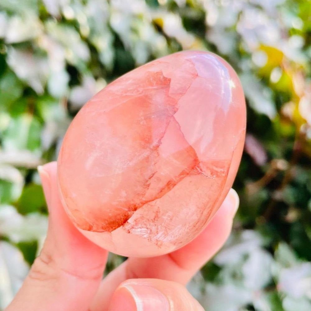 Œuf de Golden Healer 100-500g|CrystalHola