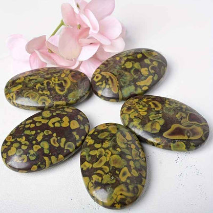 Ajooba Jasper Palm Stone|Wholesale CrystalHola