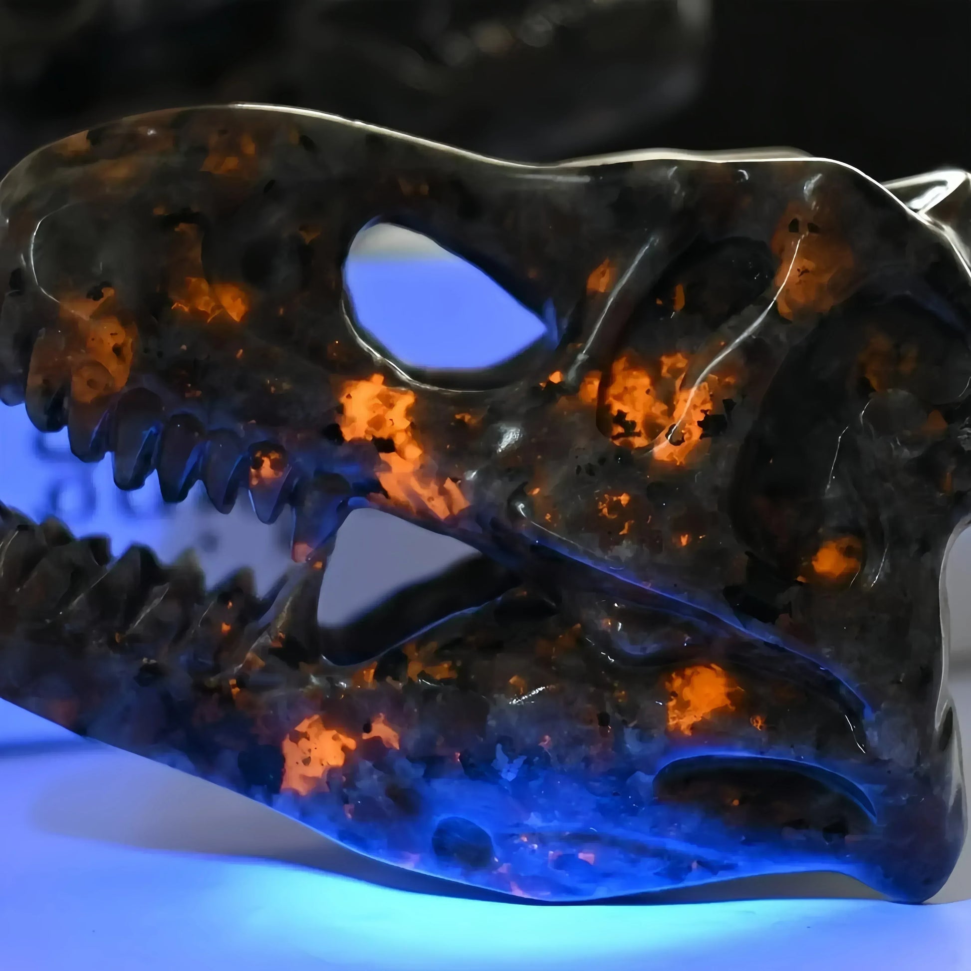 Dinosaur Skull Yooperite - CrystalHola