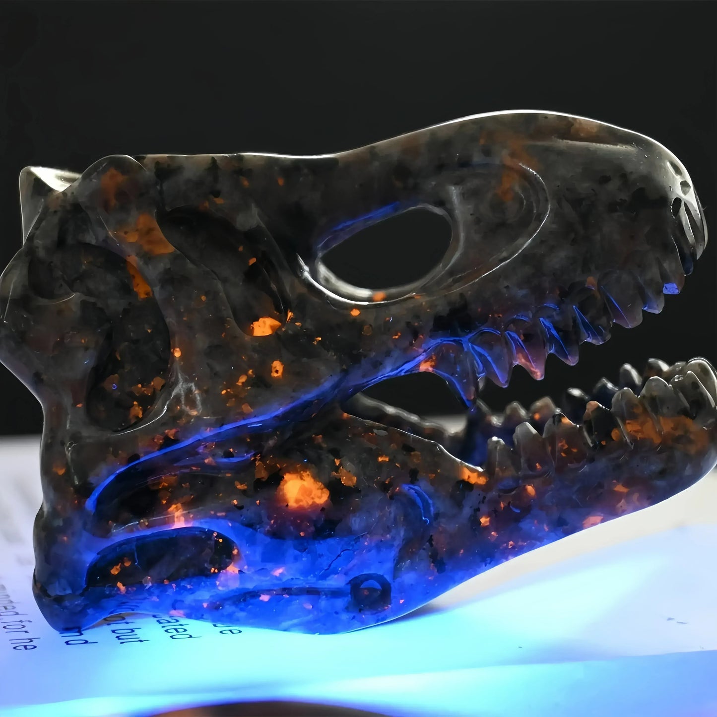 Dinosaur Skull Yooperite - CrystalHola