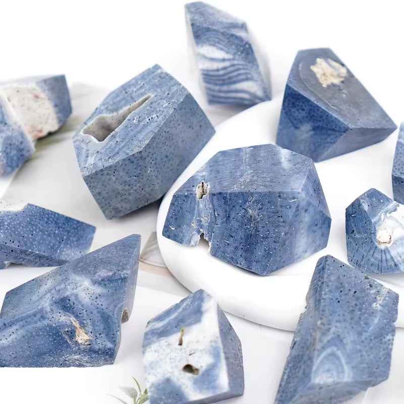 20-100g  Blue Coral Freeform|CrystalHola Wholesale