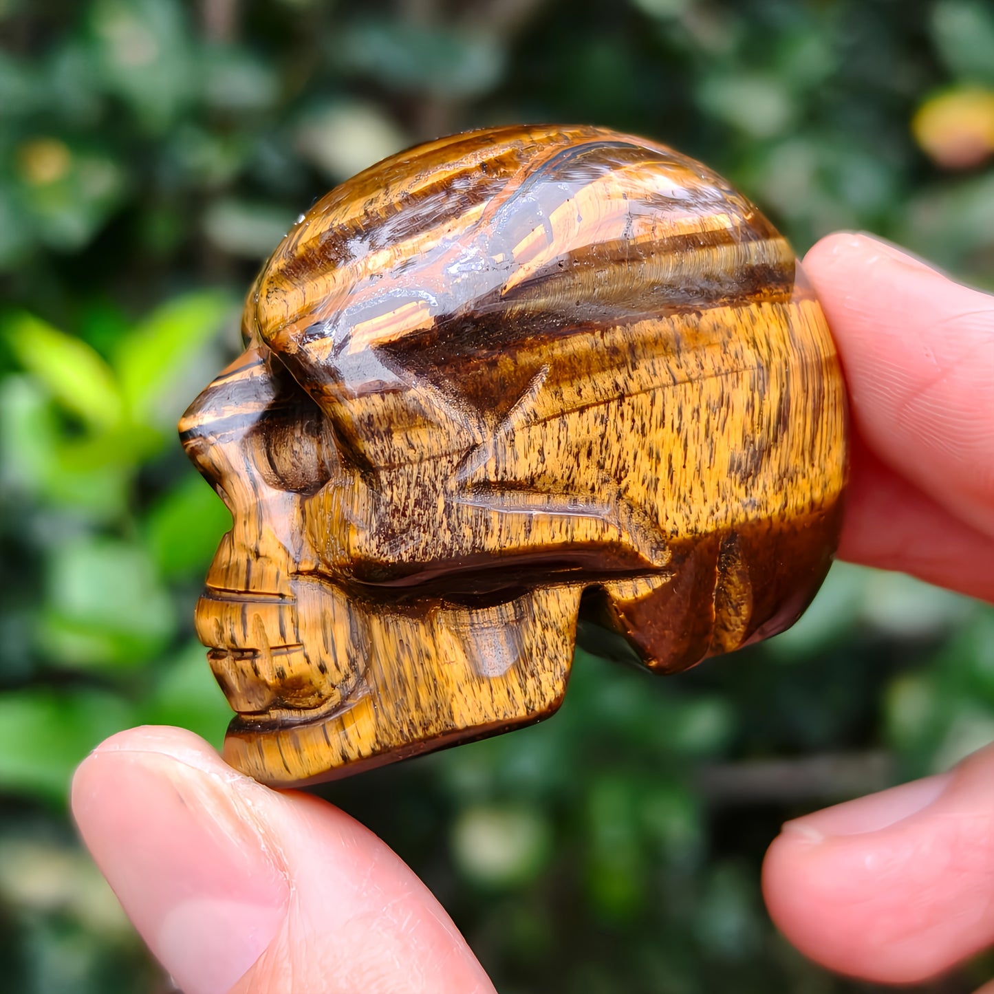 Tiger'S Eye Skull Carving for Decor