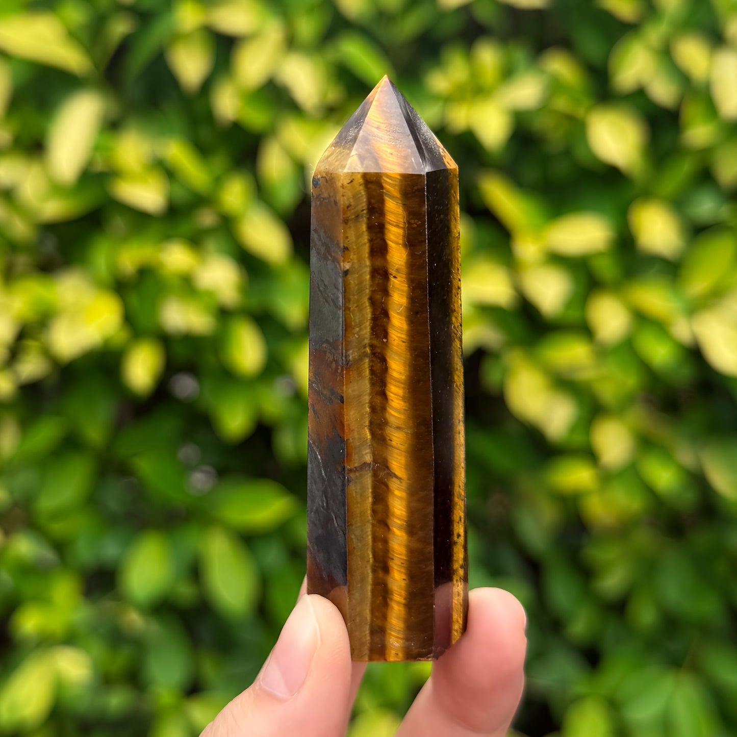 Tiger Eye Point for Decor