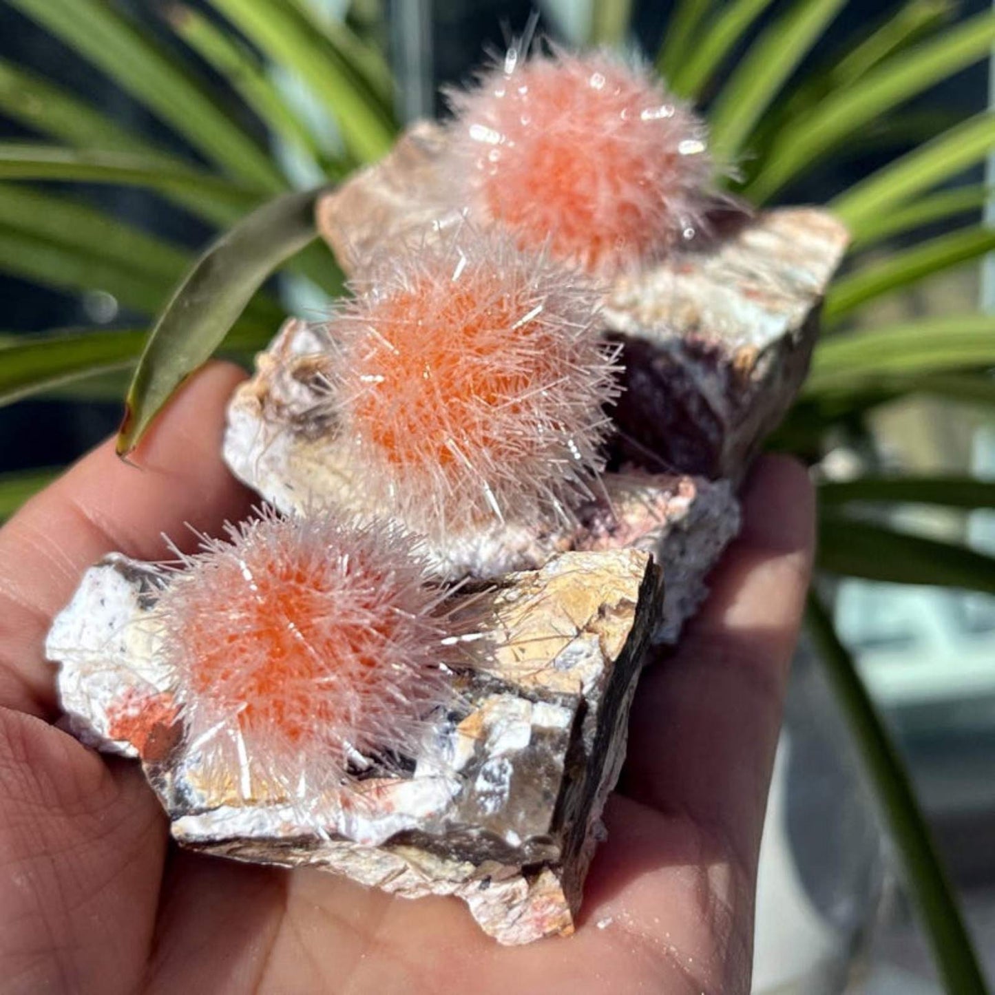 50-100g Rare Zeolite Mineral Specimen | CrystalHola Wholesale