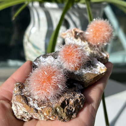 50-100g Rare Zeolite Mineral Specimen | CrystalHola Wholesale