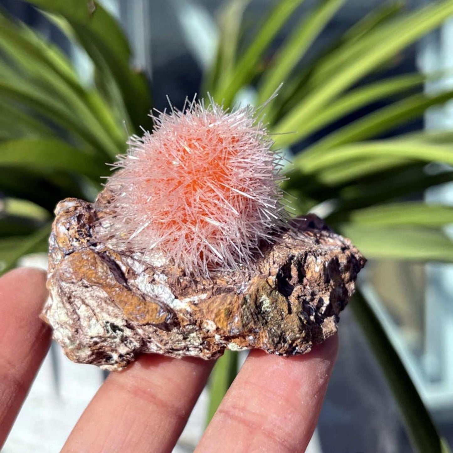 50-100g Rare Zeolite Mineral Specimen | CrystalHola Wholesale