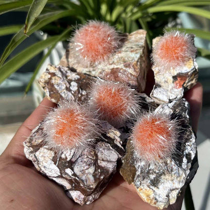 50-100g Rare Zeolite Mineral Specimen | CrystalHola Wholesale