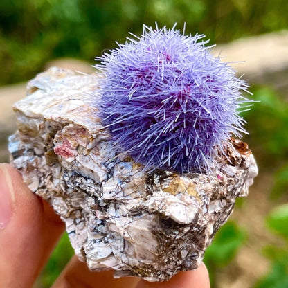 50-100g Rare Zeolite Purple Mineral Specimen | CrystalHola Wholesale