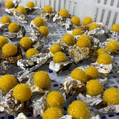 50-100g Rare Artificial  Zeolite Yellow Mineral Specimen | CrystalHola Wholesale