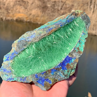 Aiguille avec minéral azurite|CristalHola
