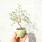 Natural Crystal Tree with Muti|Wholesale CrystalHola