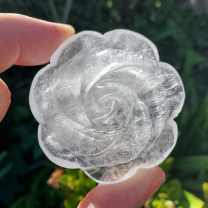 Rose Quartz and Clear Quartz Rose