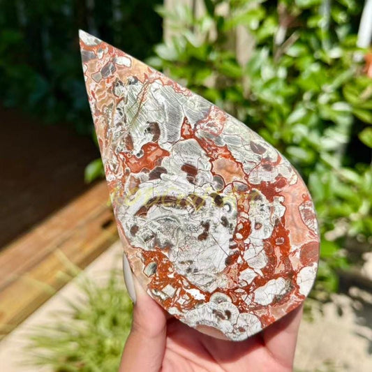 Money Agate Crystal Teardrop Freeform