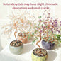 Natural Crystal Tree with Muti|Wholesale CrystalHola