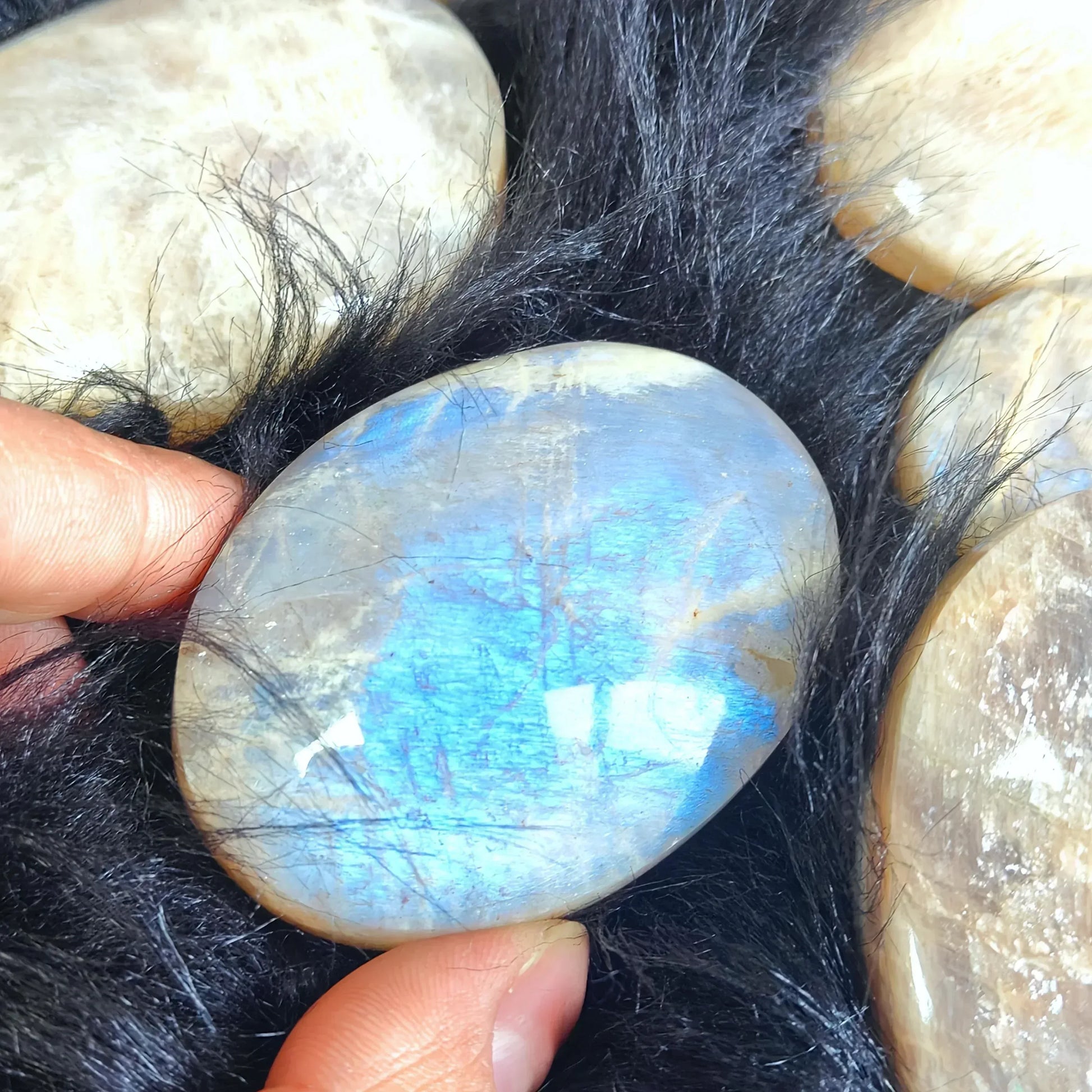 Blue Moonstone Palm Stone - CrystalHola