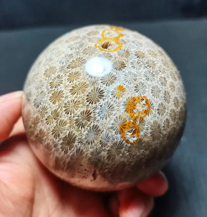 Coral Jasper Sphere - CrystalHola
