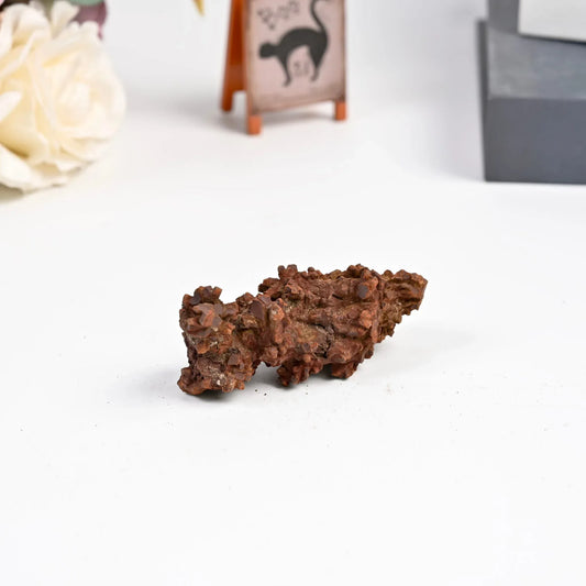 Dinosaur Poop Fossil Raw - CrystalHola