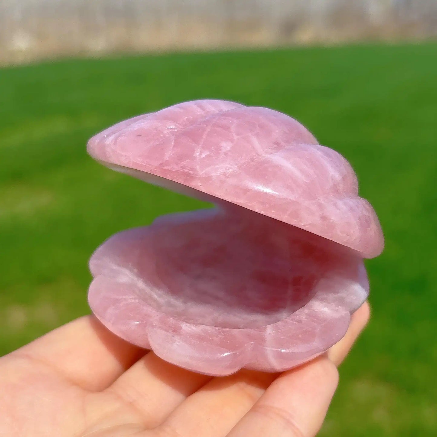 Pink Crystal River Clam
