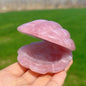 Pink Crystal River Clam