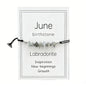 Natural Crystal Chip Birth Month Bracelet