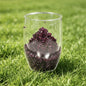 Crystal Double Wall Glass Cup  Chips