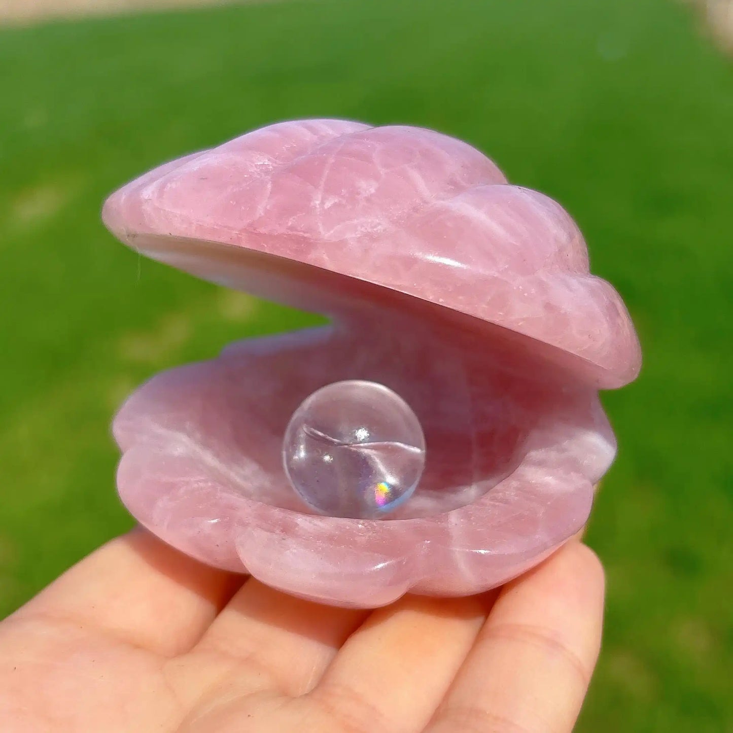 Pink Crystal River Clam