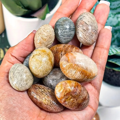 Natural Thousand Layer Quartz Tumbled Stone - CrystalHola