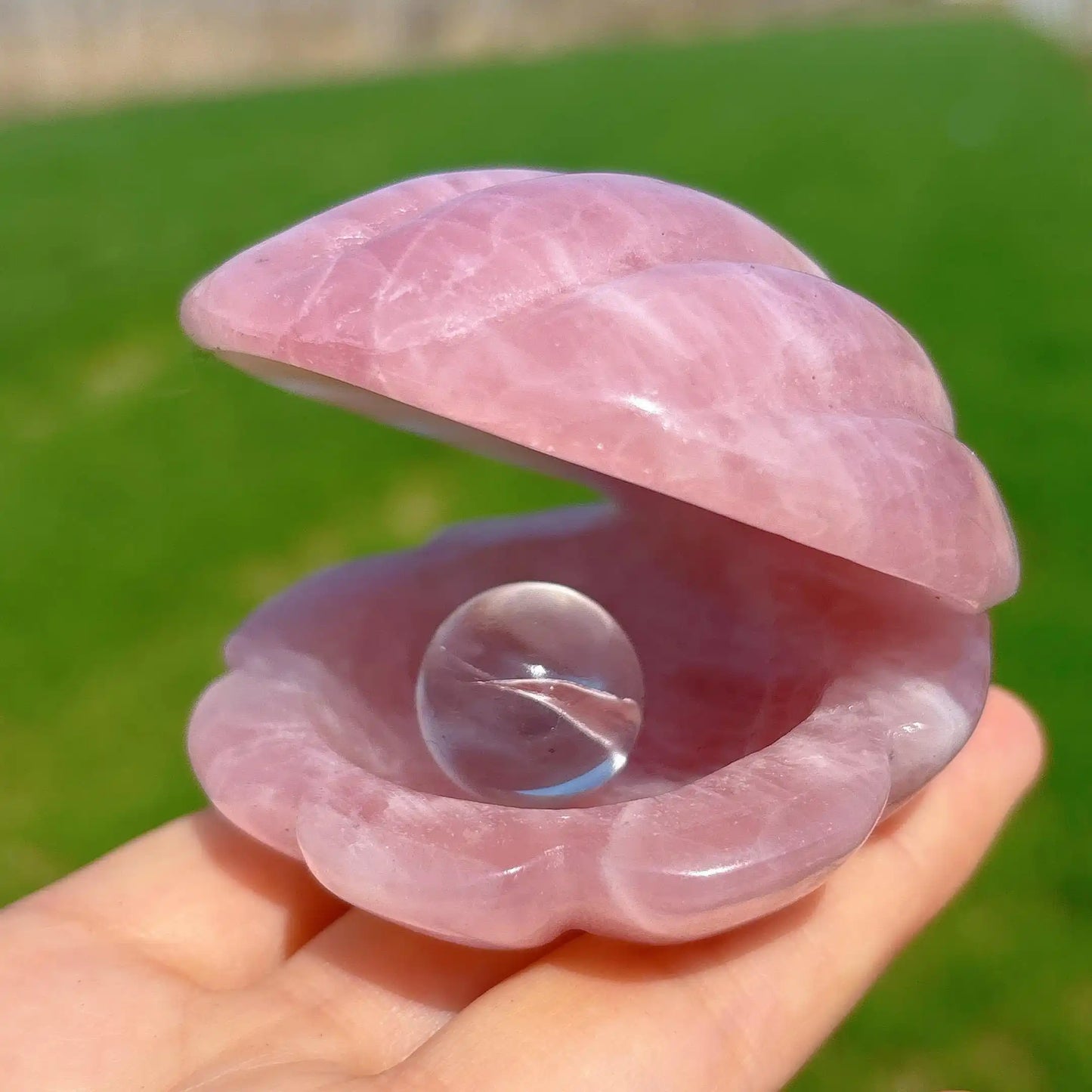 Pink Crystal River Clam