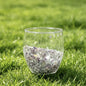 Crystal Double Wall Glass Cup  Chips