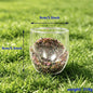 Crystal Double Wall Glass Cup  Chips