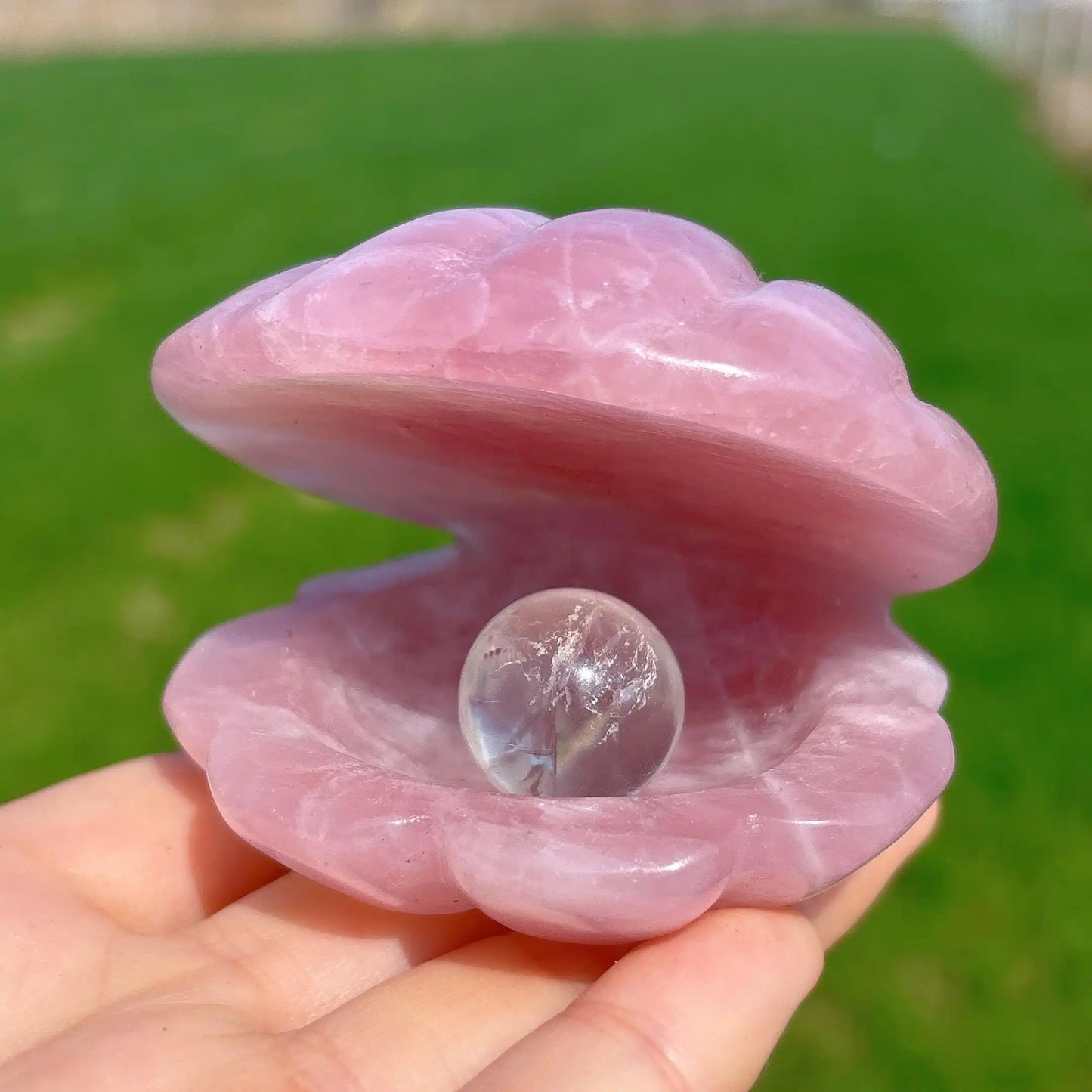 Pink Crystal River Clam