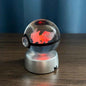 Crystal Ball With Multi Color Led Light Base |CrystalHola