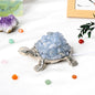 Crystal Raw Stone ChipsTurtle