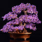 Natural Crystal Gemstone Fortune Money Tree 38cm Bonsai Tree |CrystalHola
