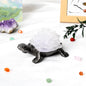 Crystal Raw Stone ChipsTurtle