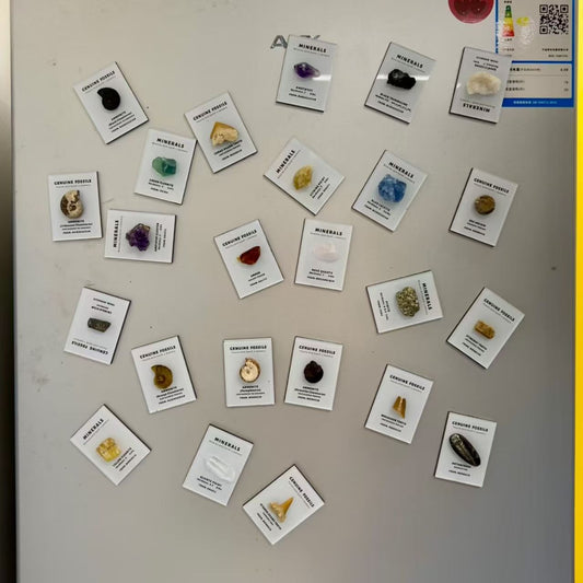 Mineral specimen refrigerator magnet