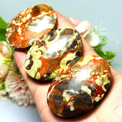 Money Agate Palm - CrystalHola