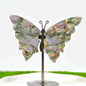 Muti_Material_Butterfly_Wing-R1763_2 - CrystalHola