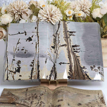 Picture Jasper Book - CrystalHola